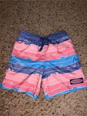 Vineyard Vines Pink, Blue & Purple Striped Kids Swim Shorts